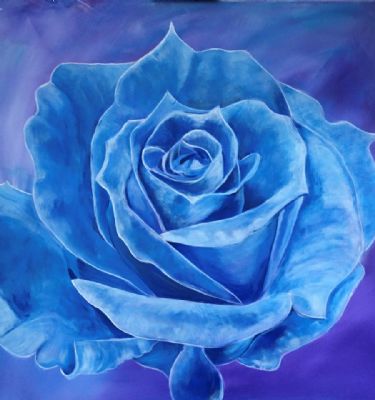 blå rose